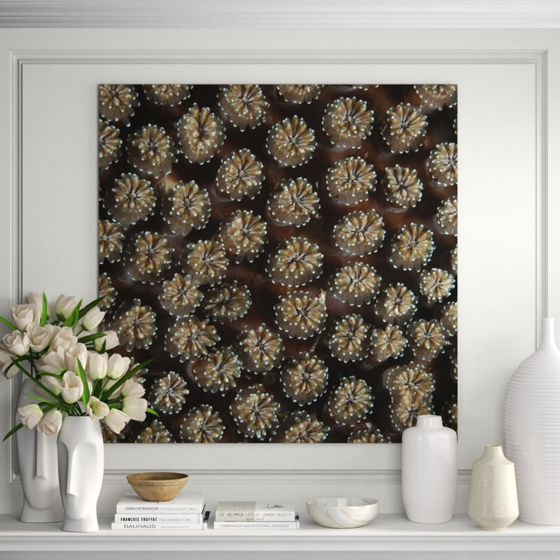 Underwater Beauty II Print by Austin Beiv, Outdoor, 22" H x 22" W x 1.5" D