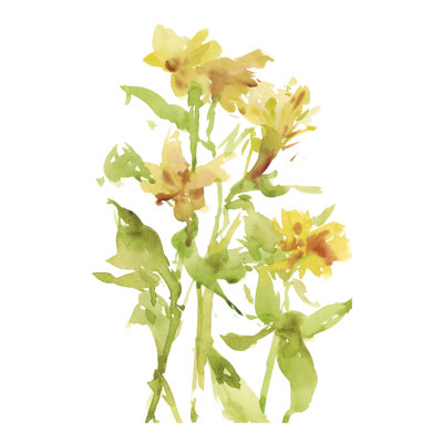 Lilies II - Painting
