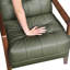 Fauteuil contemporain en cuir avec détails et pieds d'appoint en noyer-252024740