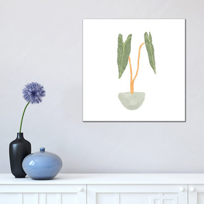 Philodendron Billietiae I 1 Piece Wrapped Canvas Wall Art