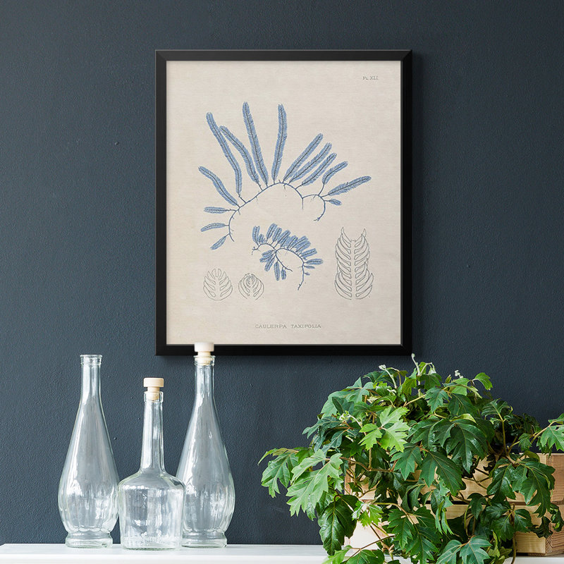 «Blue Marine Algae II», toile encadrée de qualité supérieure - prête à être accrochée, Noir, H 20 po x l 16 po