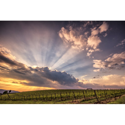 Goudy This Is Chianti - Wrapped Canvas Print