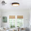 f12in Modern Dimmable LED Flush Mount Lighting 3000K/4000K/5000K Adjustable