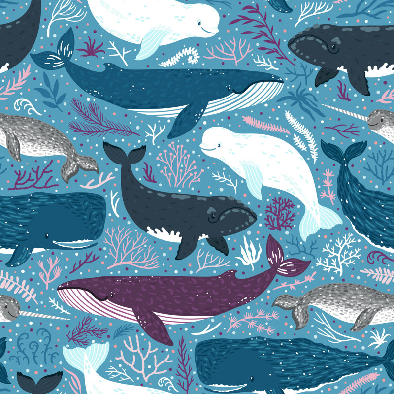 Rouleau de papier peint adhésif Prisco Marine Mammals, L 16,67 po x l 25 po