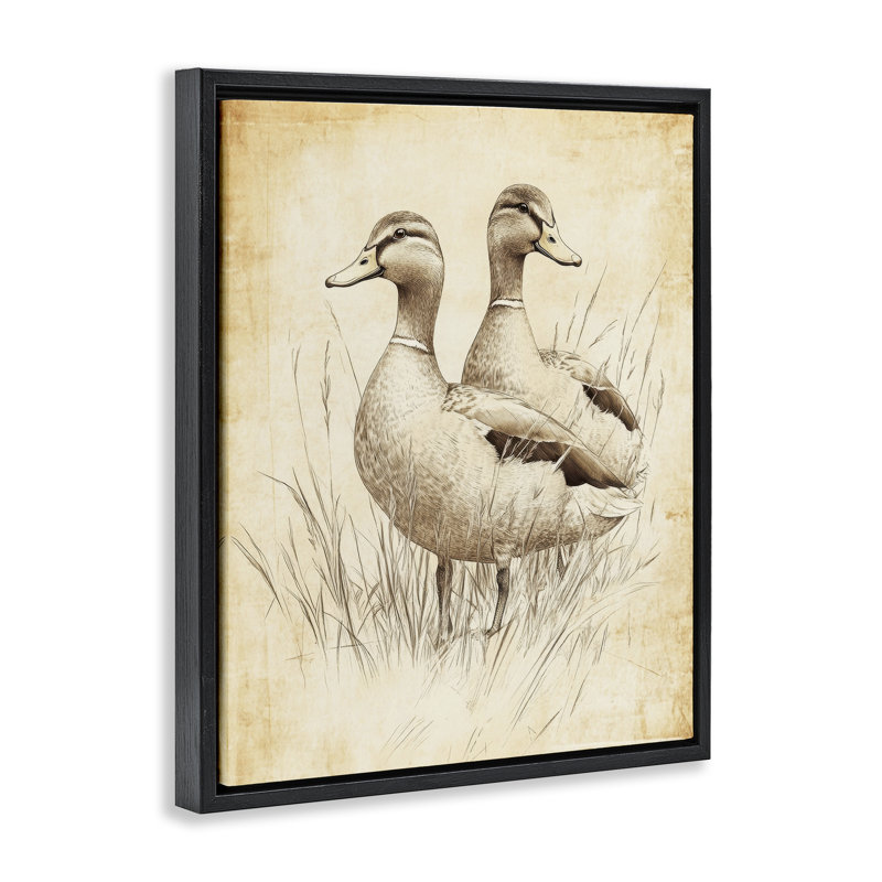 Paire de canards flottants rétro, design par Petal Prints Design, H 31 po x l 25 po, Cadre flottant noir de jais