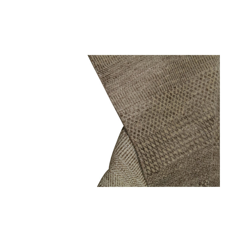 Area Rug in Brown