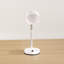 Ervin Metal Desk Lamp