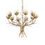 Star Magnolia Chandelier-196524147