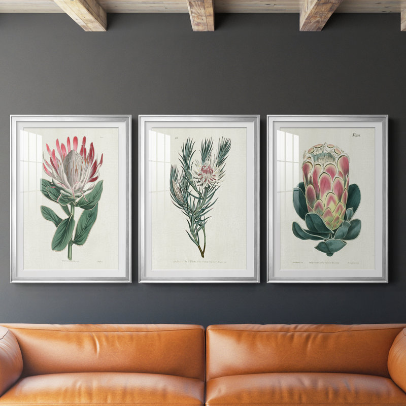 Protea N13 - Ensemble de 3 impressions encadrées, H 26,5 po x l 109,5 po x P 1,5 po, Encadrement argenté