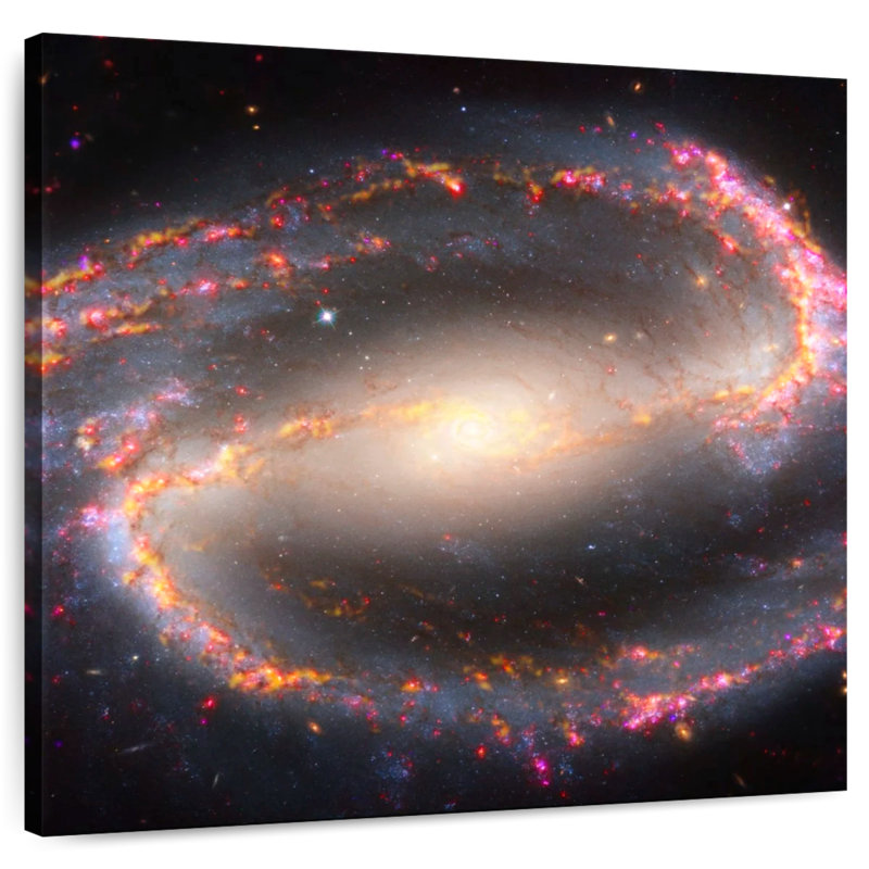 Arney Multiwavelength View Of NGC 1300, 16" H x 16" W