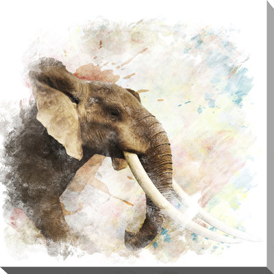 " Elephant "
