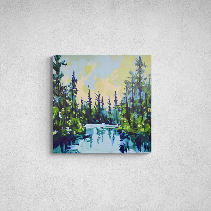 Conifer