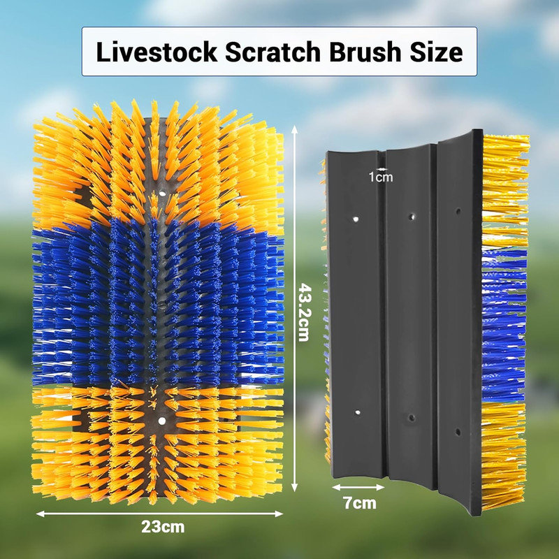 Cleaning Brushes, Yellow/Blue