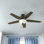 52" Kenbridge 5 - Blade Standard Ceiling Fan with Pull Chain and Light Kit Included