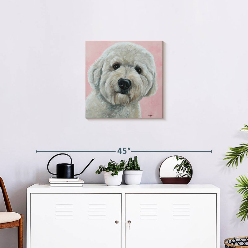 Crowle Labradoodle Hank sur fond rose, H 20 po x l 20 po