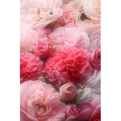 Roses rétro. - Photographie sur toile tendue