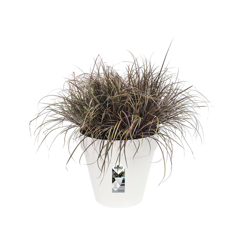 Pot Planter, 53.2cm H x 59cm W x 59cm D, White