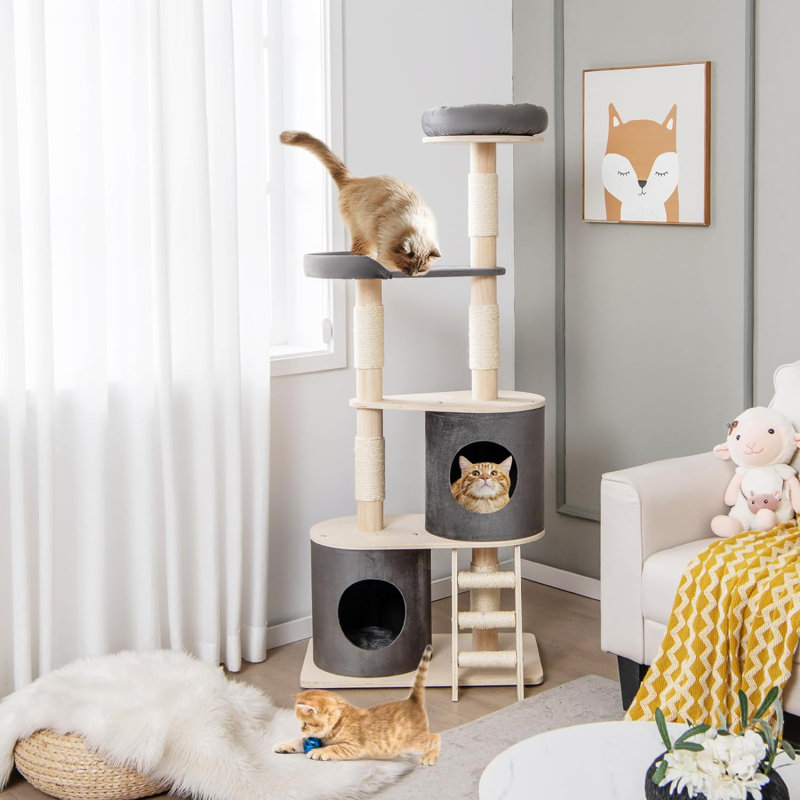 Unadilla 161cm H Cat Tree