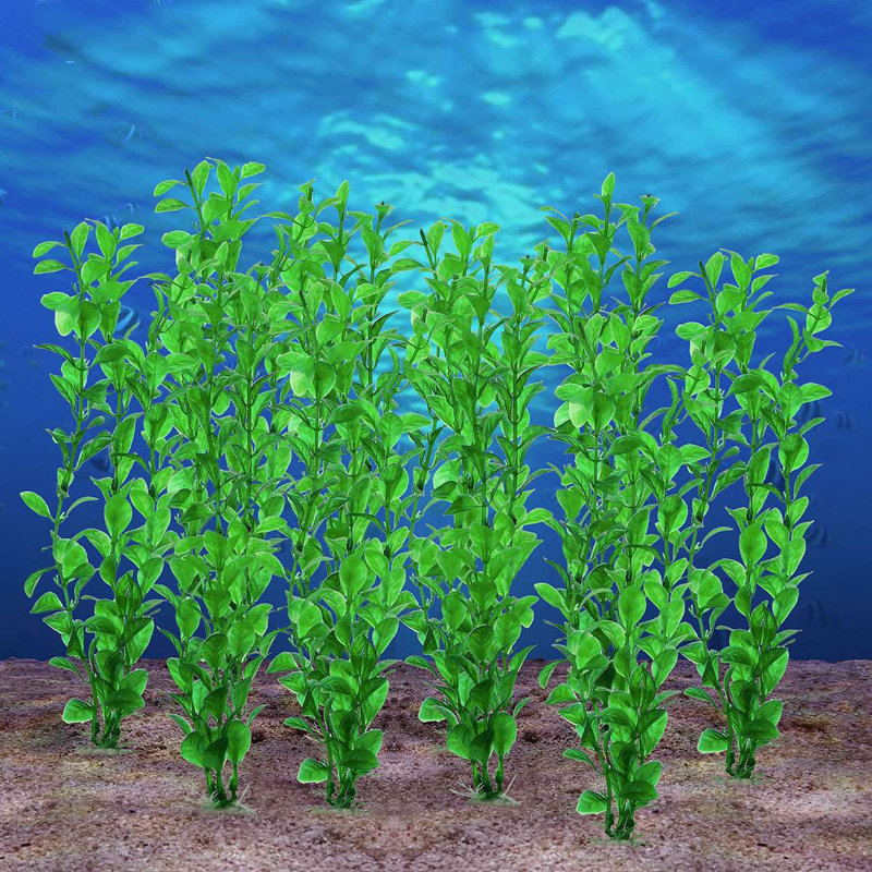 Décoration pour aquarium Eluteria