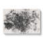Spiders Cobweb Watercolour - Wrapped Canvas-56660689