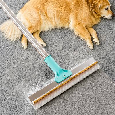 Dual-Sided Pet Hair Removal Carpet Rake, Blue