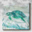 Courant tropical II-1697657701