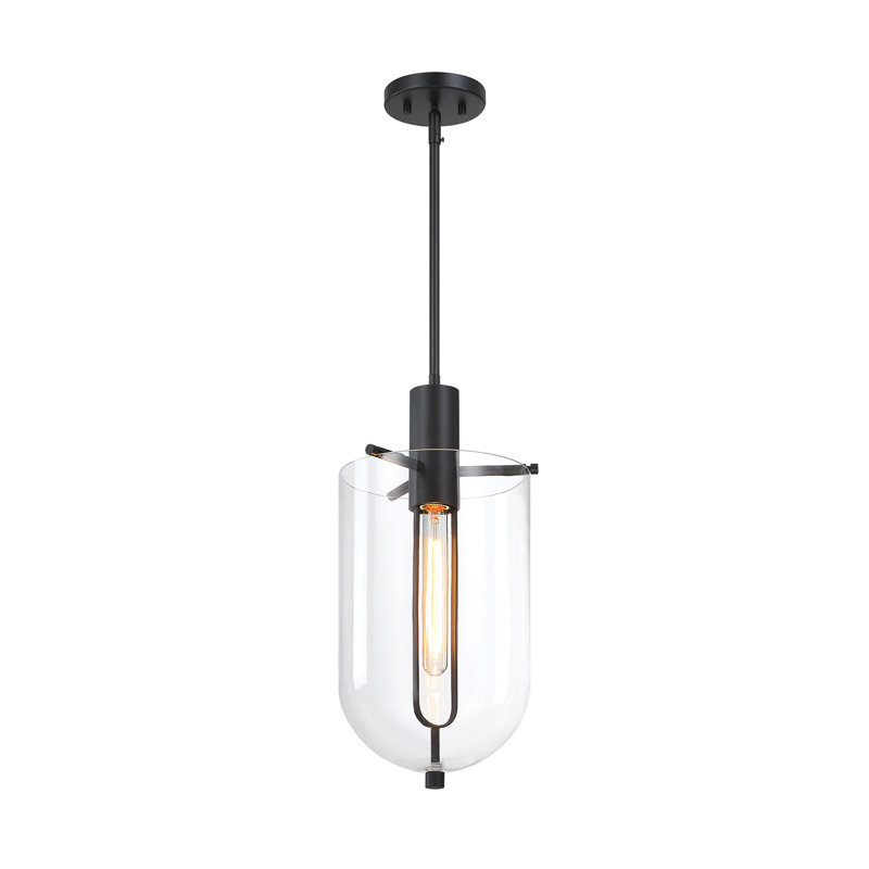 Fieldsboro 60 Watt 1-Light Matte Black Down Pendant Light with Clear Glass Shade, 19.75" H x10" W x 9" D