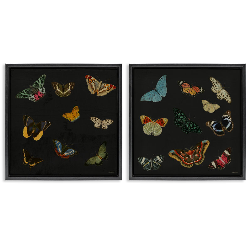 Ensemble de cadres flottants 2 pièces Entomology Collection, par Dan Meneely, Cadre flottant noir de jais, H 18 po x l 18 po