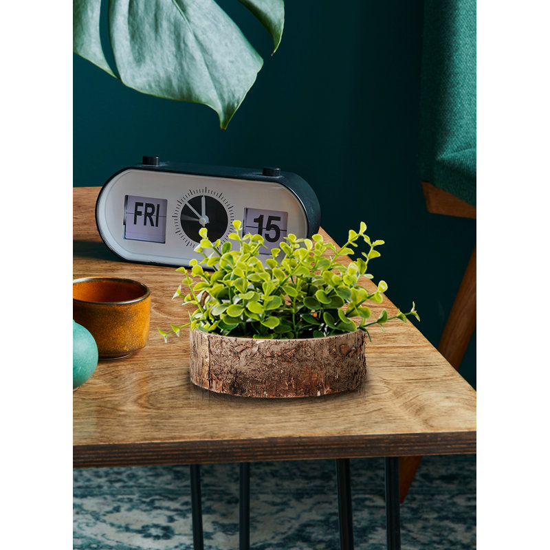 Bol décoratif en bois Vervena en brun