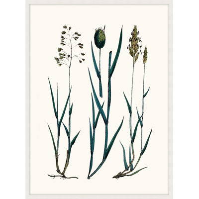 Careful in Contemplation 6 Framed Print