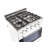 Prestige 19.5" 4 burner 1.6 cu. ft. Freestanding Gas Range with Convection Oven-49674437
