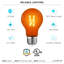 4,5 W (équivalent à 60 W), DEL A19, ampoule à intensité variable, culot moyen E26 (standard)-73312166