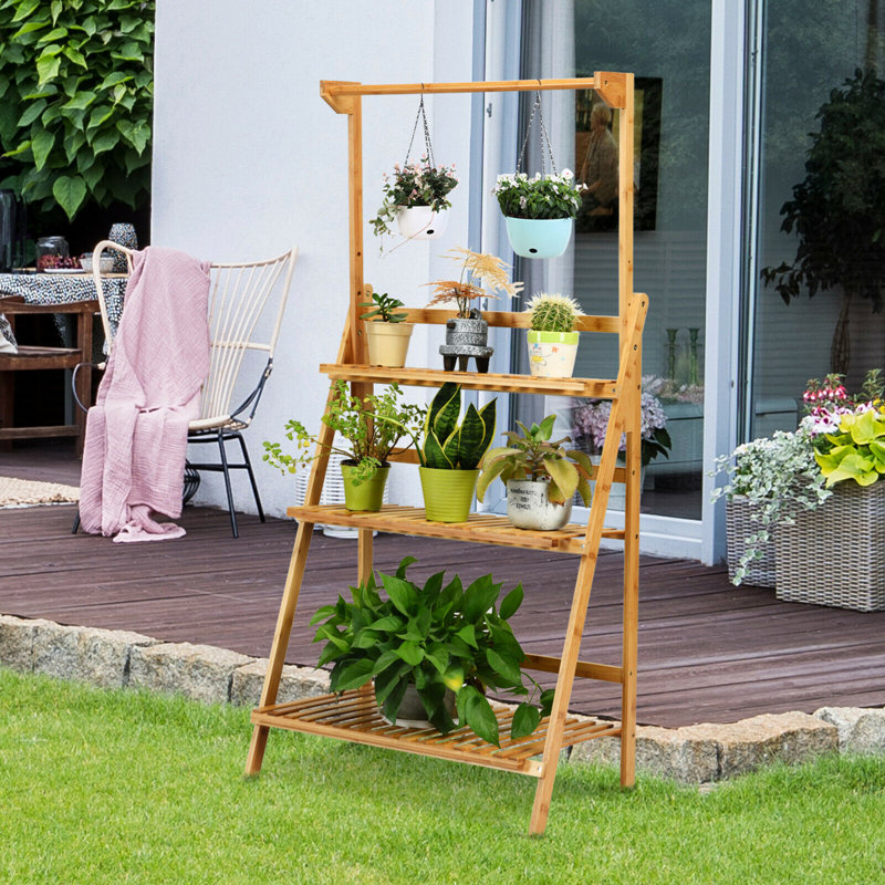 Galax Plant Stand