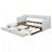 Twin XL to King Size Upholstered Daybed with Two Drawers, Beige-1077597966