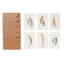 Forest Walk Note Card Assorted Set Of 6