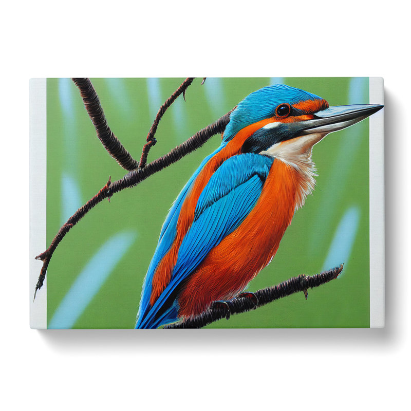 Radiant Kingfisher Bird - Wrapped Canvas Print, 40cm H x 60cm W x 3cm D
