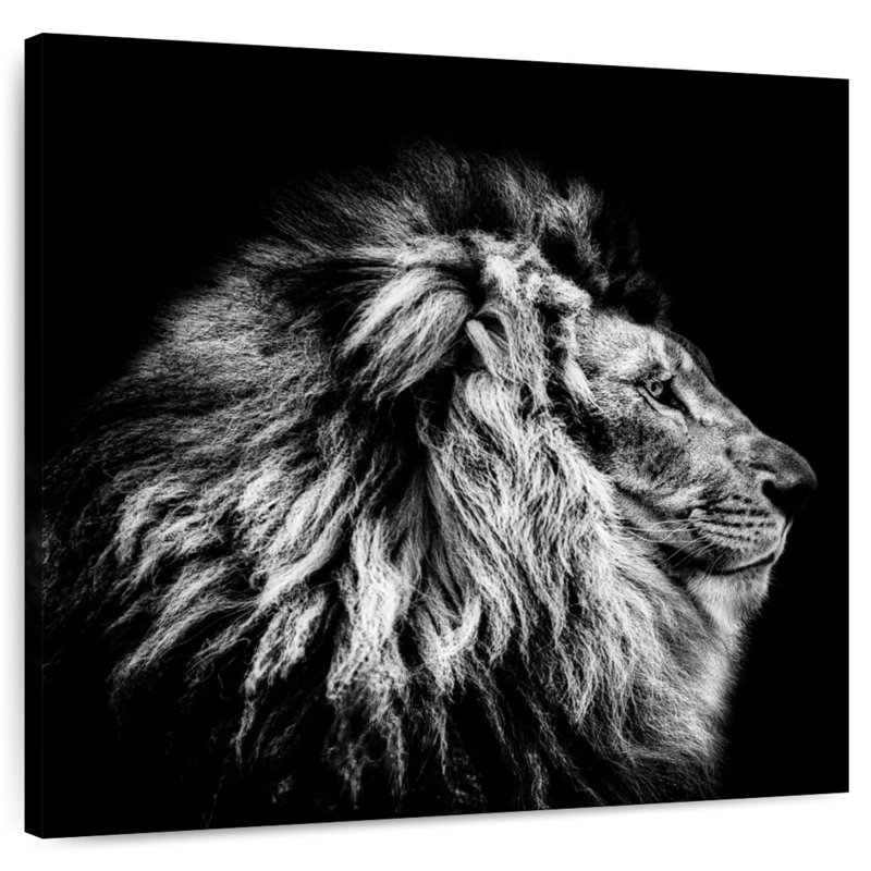 Brampt Proud Lion Head
