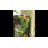 Sunlit Bloom Sunflower Garland 51" Long