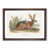 Walnut Framed