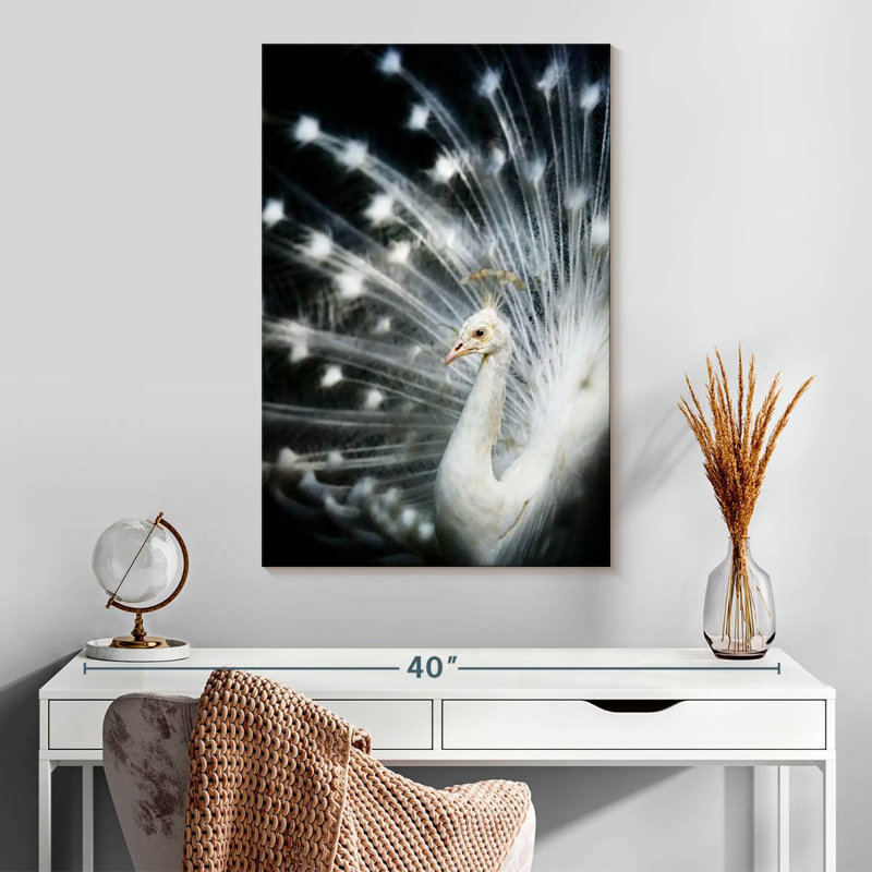 Brampt Rare White Peacock, 30" H x 20" W