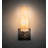 Dante Steel Armed Sconce