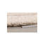 Spark Area Rug