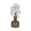 Vase en verre-1518403981-1518403980