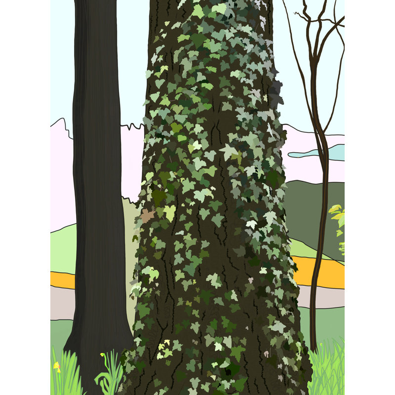 Tree And Ivy In Spring Print by Evan Sklar