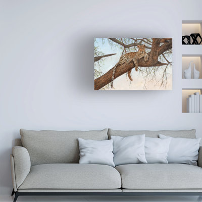 «David Stribble Leopard In Tree», art sur toile