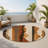 Sunset Passage Indoor And Outdoor Area Rug-317991318