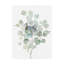 Reproduction d’art sur toile, "eucalyptus III cool" par Danhui nai