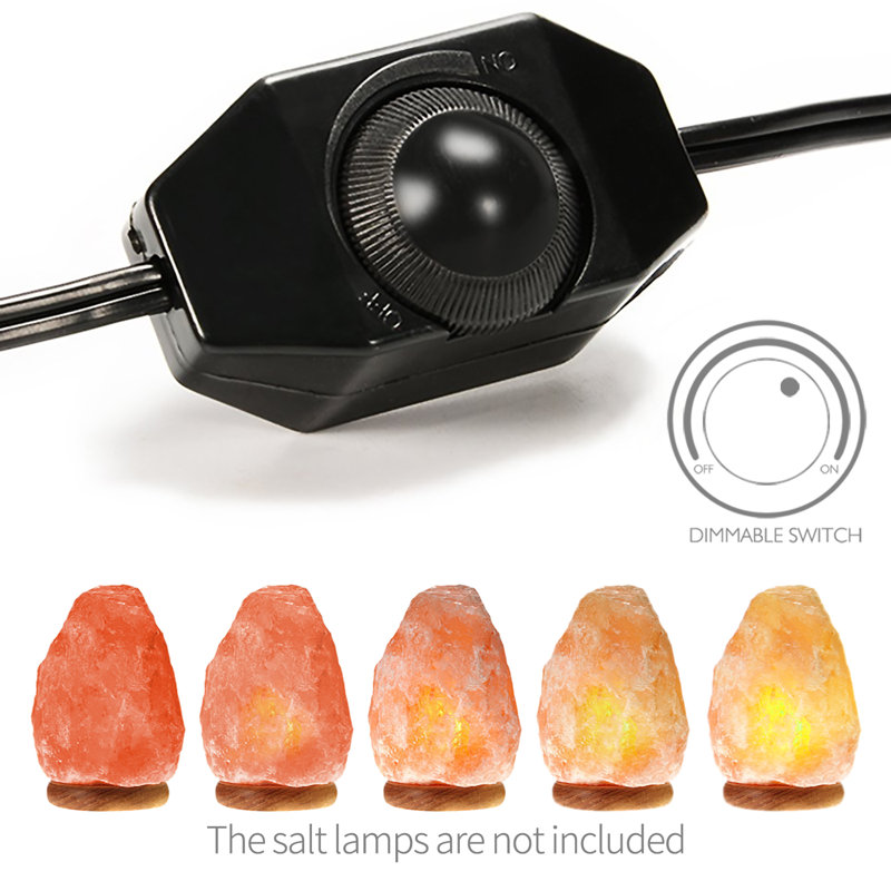 Cordon de lampe de sel avec gradateur Cordon d'alimentation avec gradateur et pince pour toutes les lampes de sel en cristal de l'Himalaya