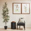 7FT Slim Olive Tree in Grower Pot