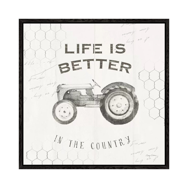 Life At Home II On Chicken Wire Background by Avery Tillmon - Print on Canvas, Black Framed, 66.04cm H x 66.04cm W x 3.81cm D